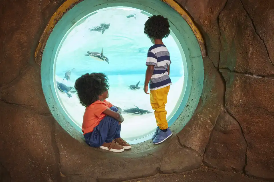 3_London Zoo