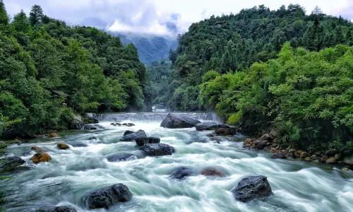 Guniujiang Nature Reserve