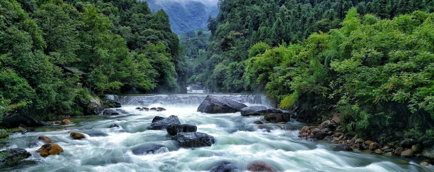 Guniujiang Nature Reserve