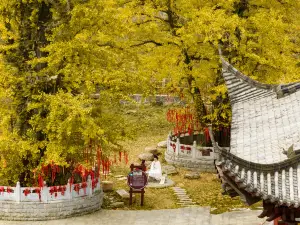 명월산