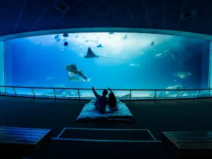 台灣海洋生物博物館
