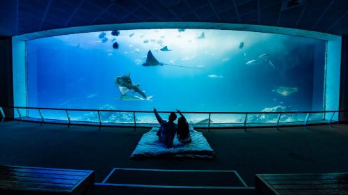 台灣海洋生物博物館