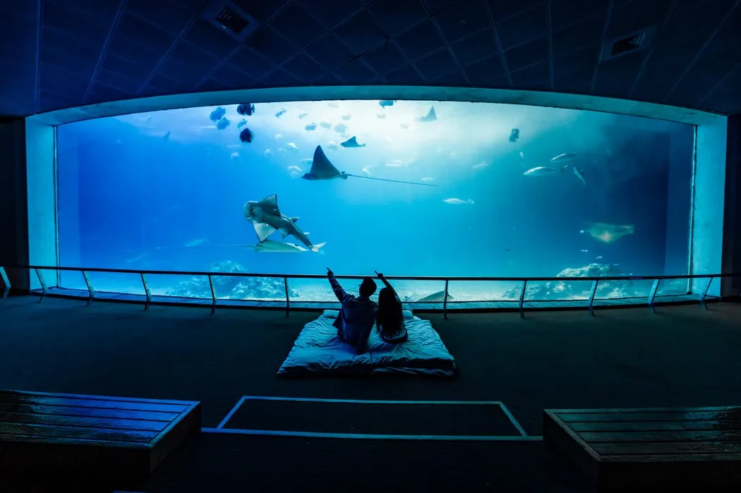 3_台灣海洋生物博物館