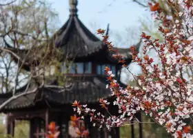 Humble Administrator's Garden