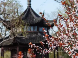 Humble Administrator's Garden