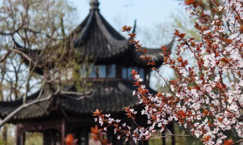 拙政園