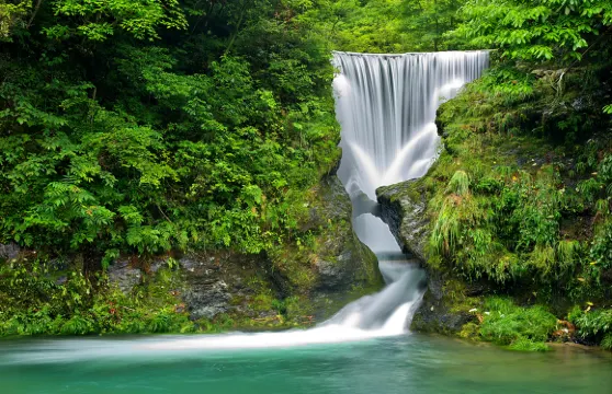打鼓嶺門票成人