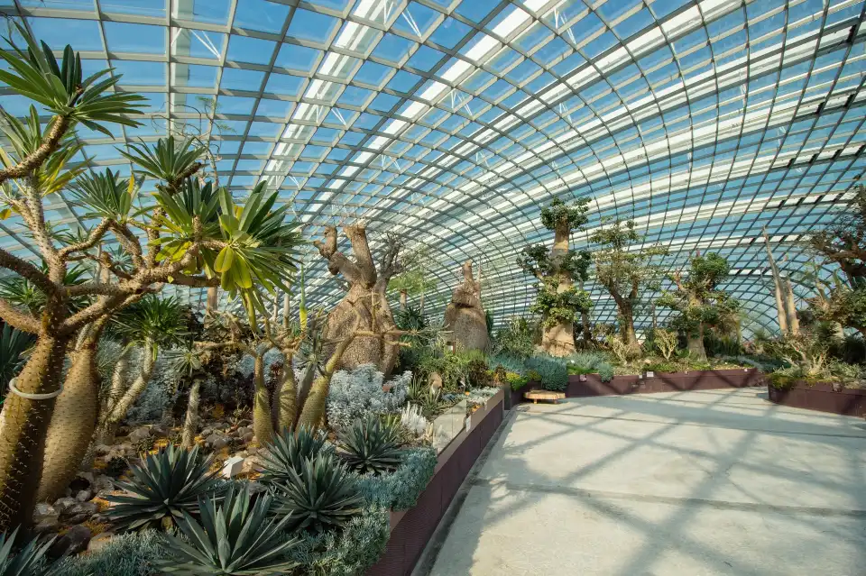 4_Flower Dome