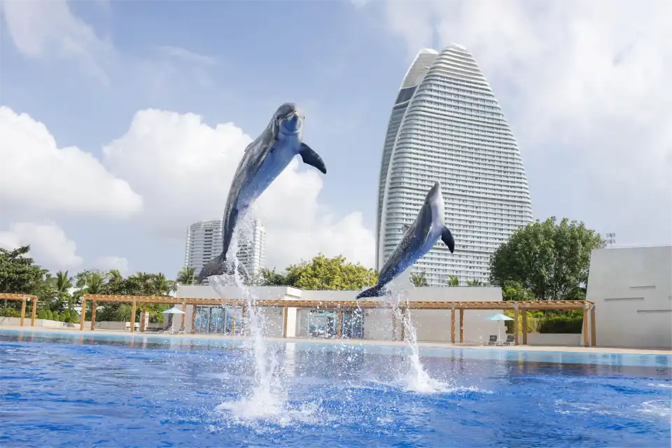 2_The Lost Chambers Aquarium - Atlantis Sanya