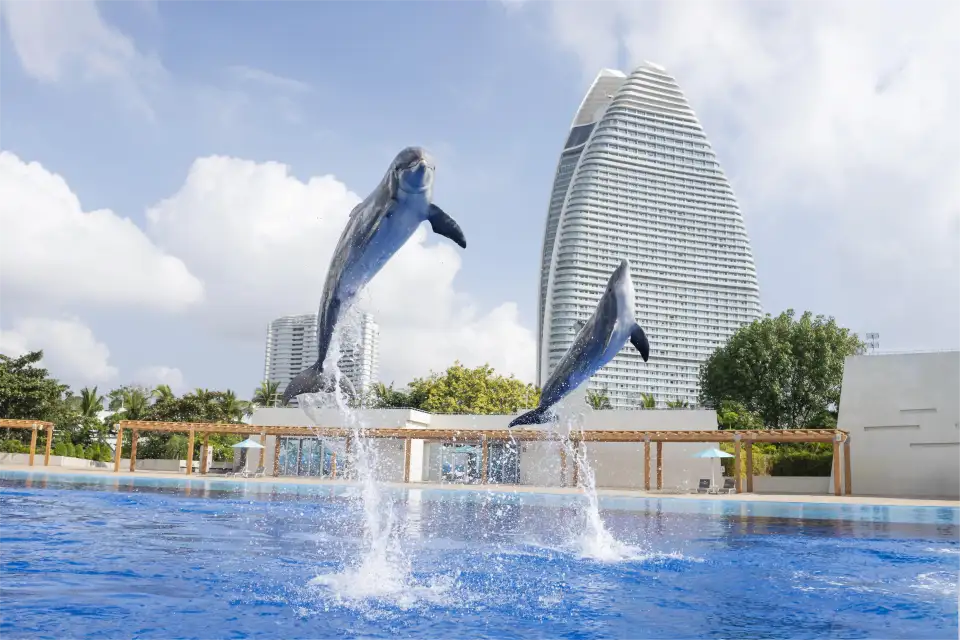 2_Sanya Atlantis Lost Chambers Aquarium