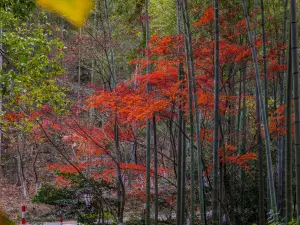 Populaire Herfst uitzicht attracties in Liyang