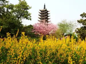 The China(Zhengzhou) Greening Expo Park