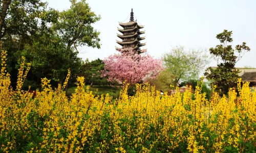 China Green Expo Park