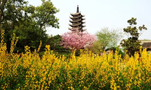 鄭州·中國綠化博覽園大黃鴨卡通遊船30分鐘票團體(1-5人)