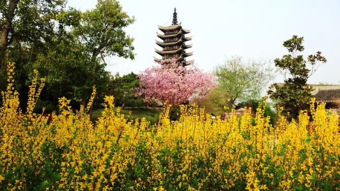 1_สวนนิทรรศการสีเขียวของจีน