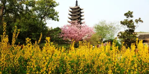 鄭州·中國綠化博覽園