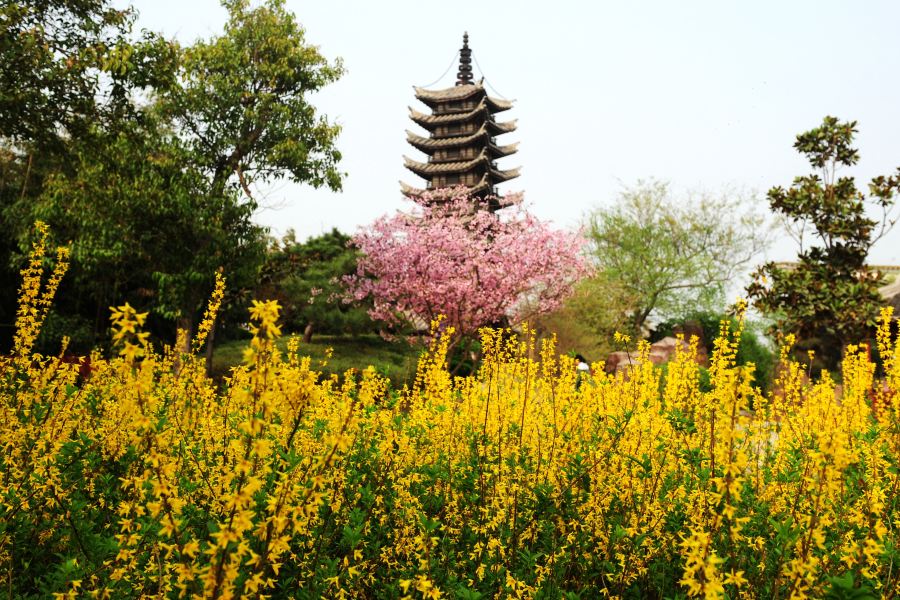 鄭州·中國綠化博覽園