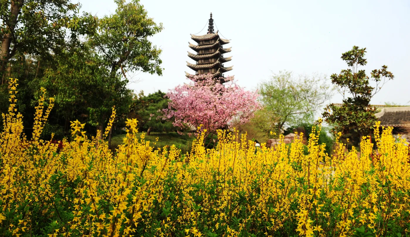 1_สวนนิทรรศการสีเขียวของจีน
