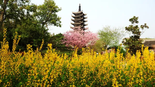 สวนนิทรรศการสีเขียวของจีน