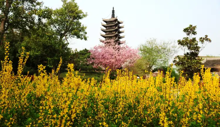 Hotels near The China(Zhengzhou) Greening Expo Park