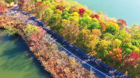 Sihong Hongze Lake Wetland