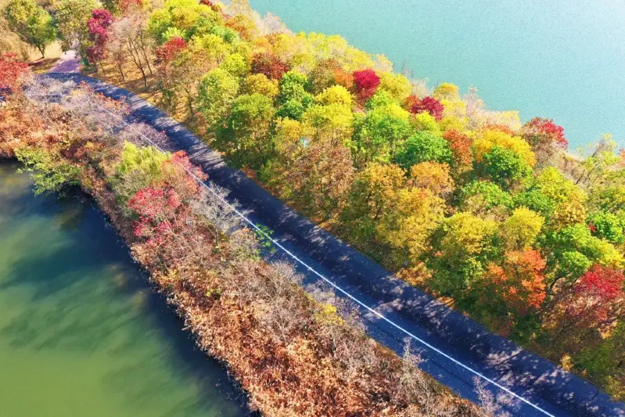 Sihong Hongze Lake Wetland