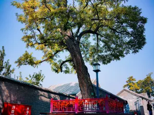 Dule Temple