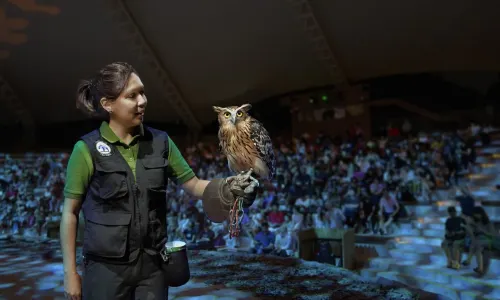 Mandai Wildlife Reserve