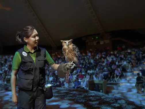 萬態野生動物世界