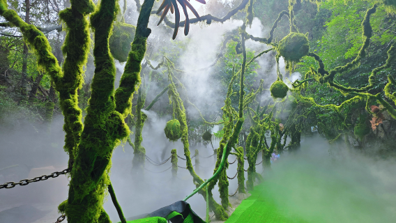 Rizhao Tiantai Mountain Tourist Area