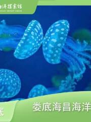 婁底海昌海洋探索館