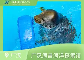 廣漢海立方海洋親子樂園