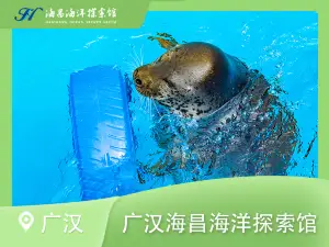 Guanghanhai Lifang Haiyang Qinzi Amusement Park