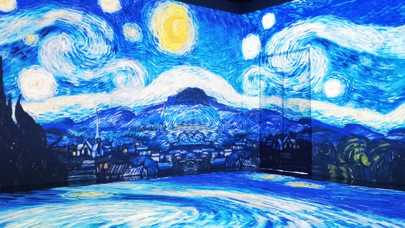 Van Gogh Star Sky Art Museum (Dongguan Flagship Store)