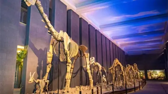 歐樂堡恐龍化石博物館