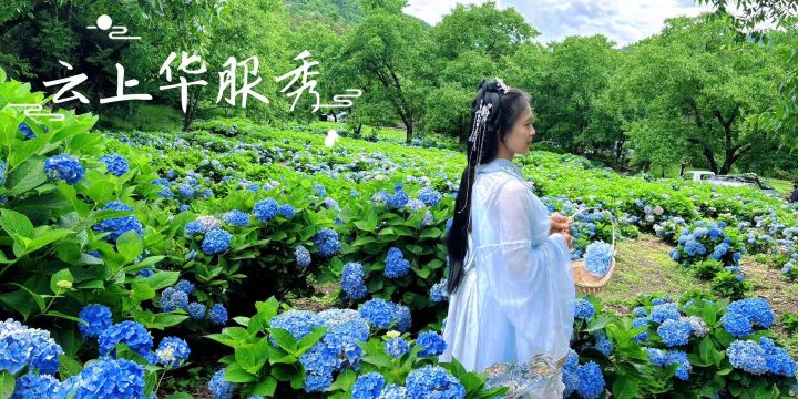 Yangbi Cloud Village