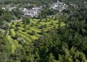 塔川