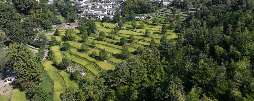 Tachuan Scenic Area