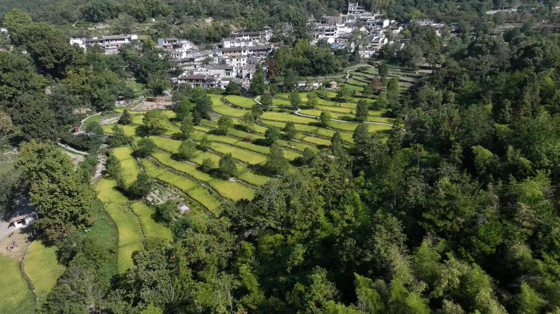 Hotels near Tachuan Scenic Area