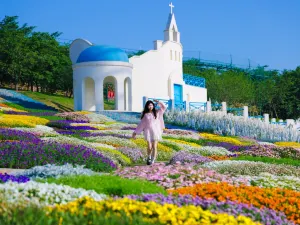 Manhua Sea of Flowers