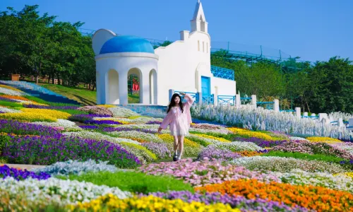 Manhua Sea of Flowers