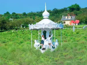 Manhua Sea of Flowers