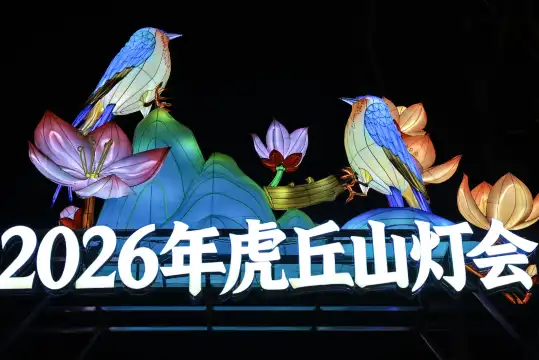 Hotel in zona La collina della tigre