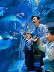 Zhengzhou Aquarium