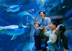 Zhengzhou Aquarium