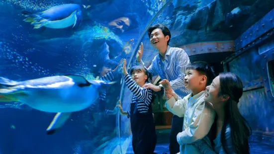 Zhengzhou Aquarium