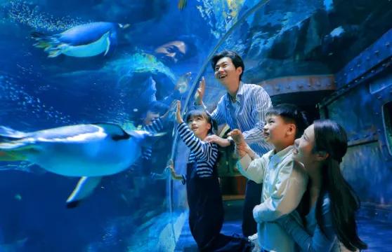 鄭州海洋館門票2人（1米或以上）