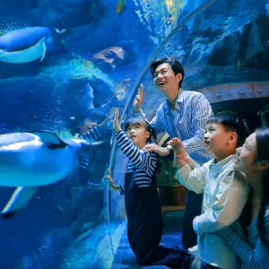 鄭州海洋館