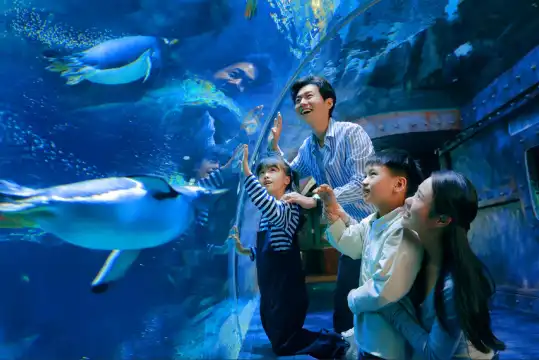 Hotels near Zhengzhou Aquarium