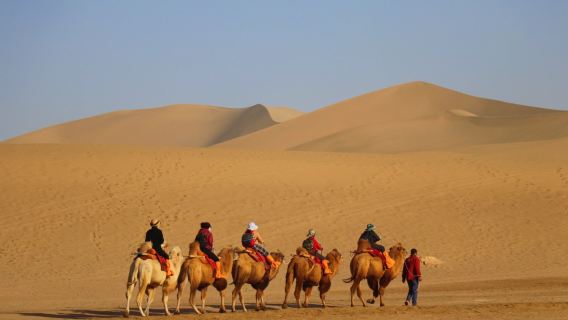 Excursion à dos de chameau à Dunhuang dans le désert de Gobi